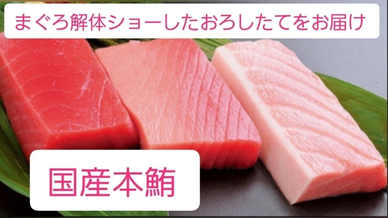 コロナで消えたイベント業 オンラインまぐろ解体ショー で鮪を皆様に届けたい Campfire キャンプファイヤー コロナで消えたイベント業 オンラインまぐろ解体ショー で鮪を皆様に届けたい Campfire キャンプファイヤー