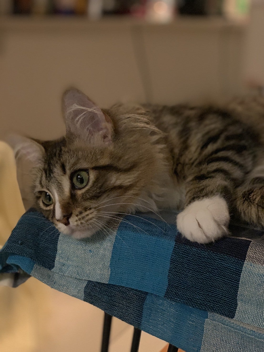 2番目のメイン画像