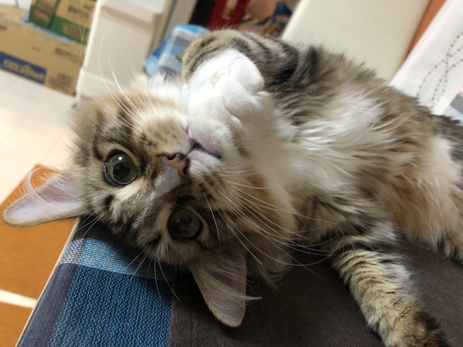 3番目のメイン画像