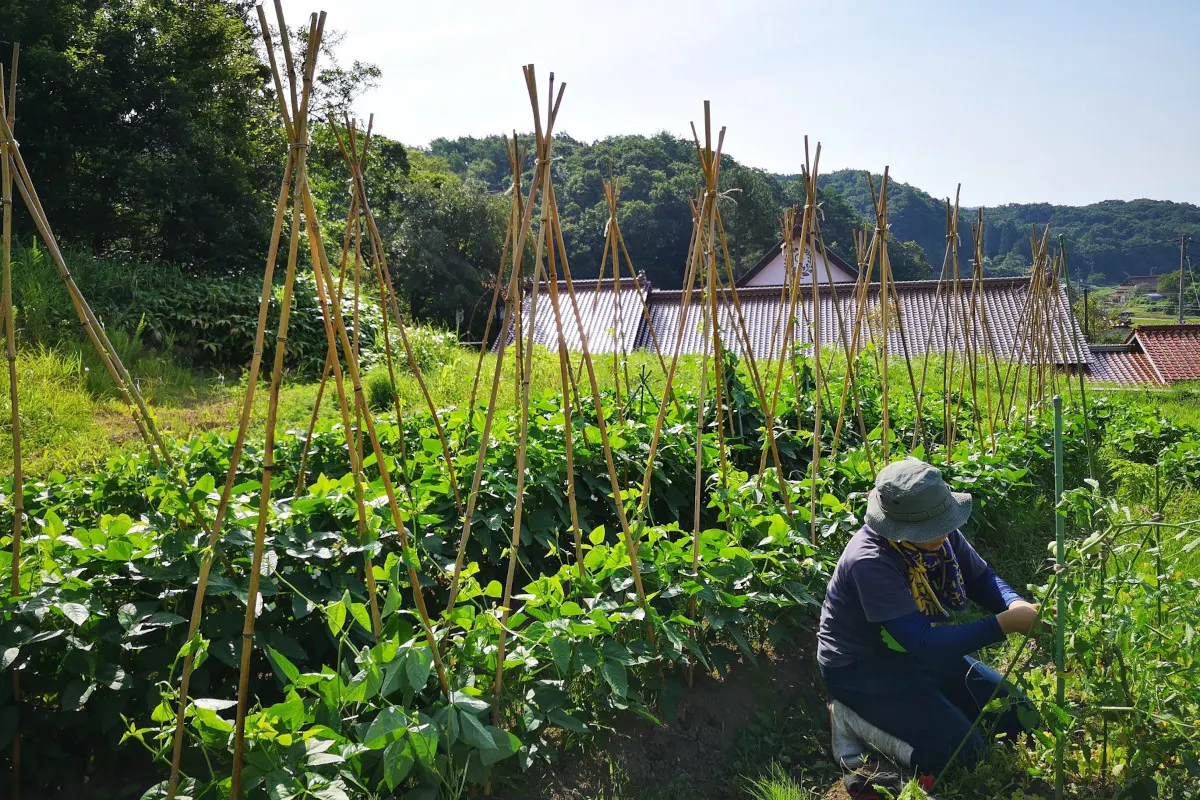 4番目のメイン画像