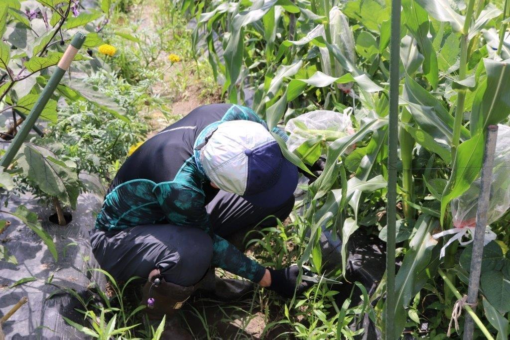 2番目のメイン画像