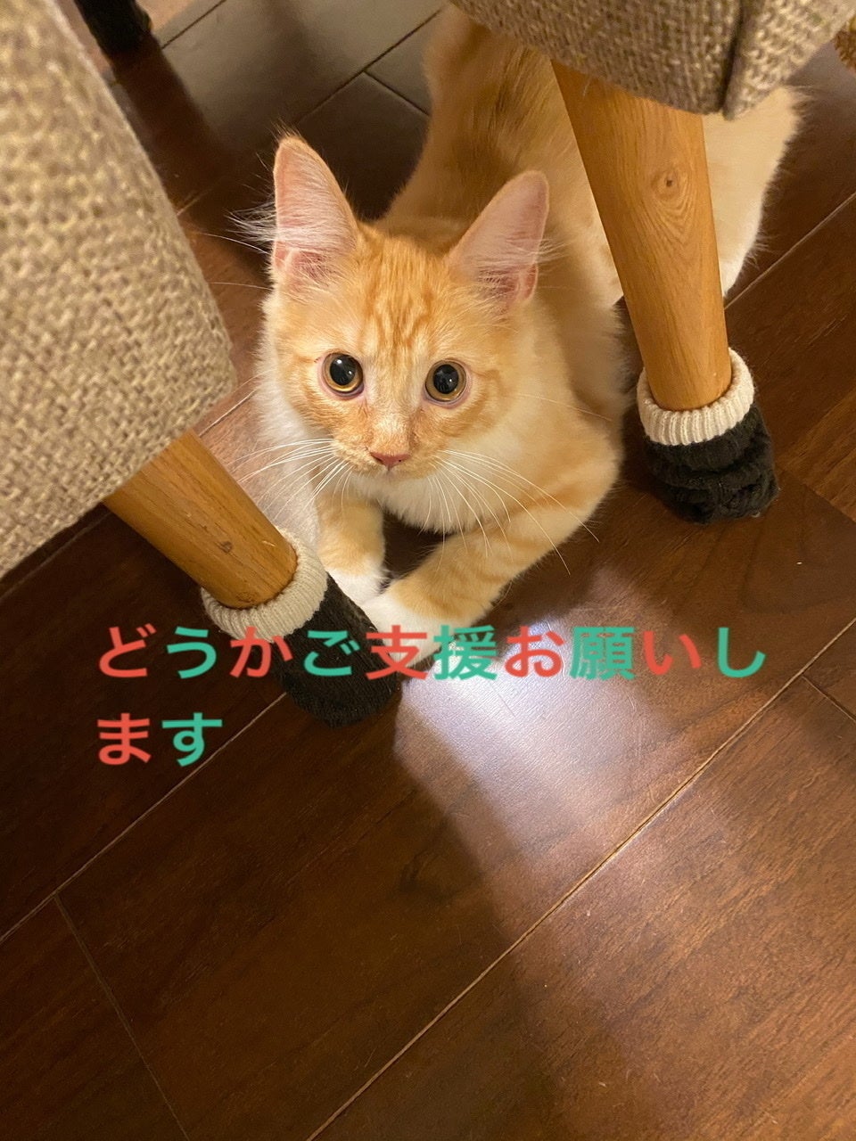 2番目のメイン画像