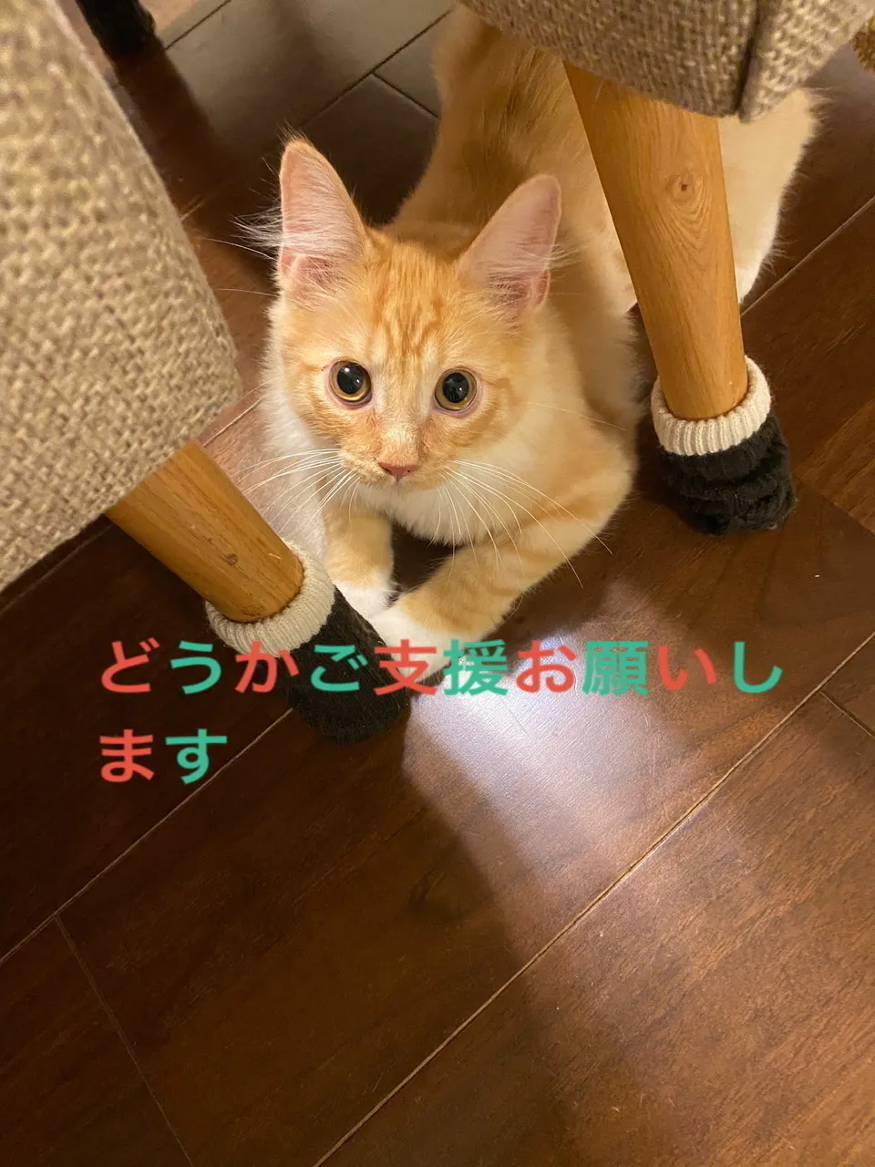 2番目のメイン画像