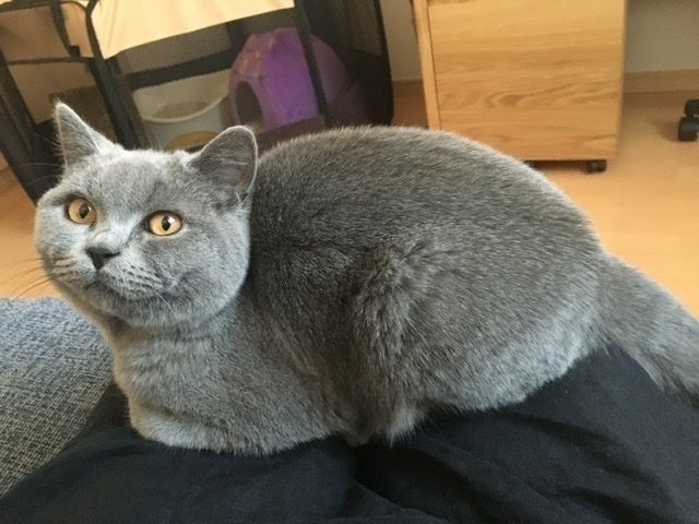 4番目のメイン画像