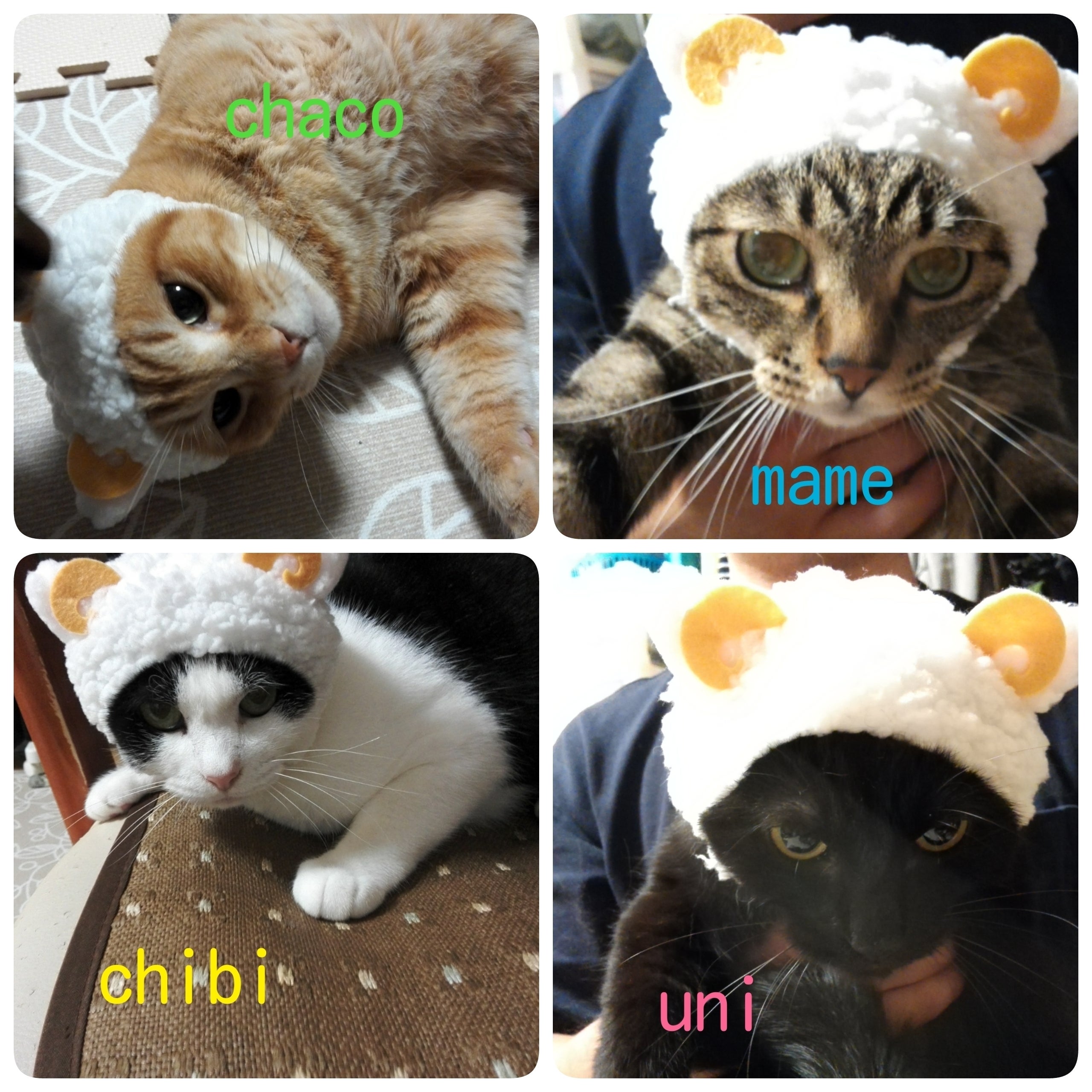 5番目のメイン画像