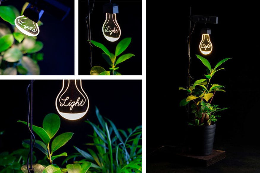 植物栽培ライトluche 新しい室内の楽しみ 癒しの空間をお届けします Campfire キャンプファイヤー 植物栽培ライトluche 新しい室内の楽しみ 癒しの空間をお届けします Campfire キャンプファイヤー