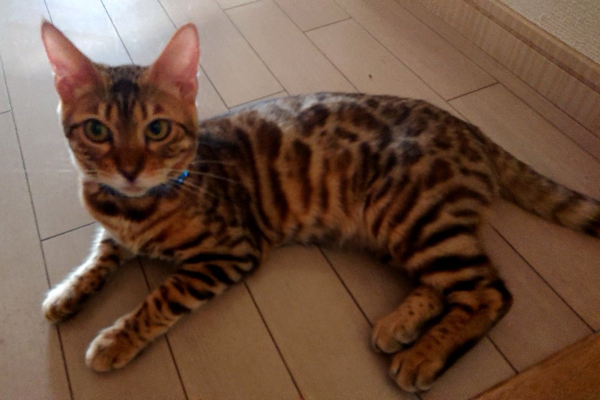 1番目のメイン画像