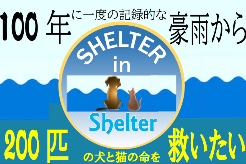 100年に一度の記録的な豪雨から 0匹の犬と猫の命を救いたい Campfire キャンプファイヤー