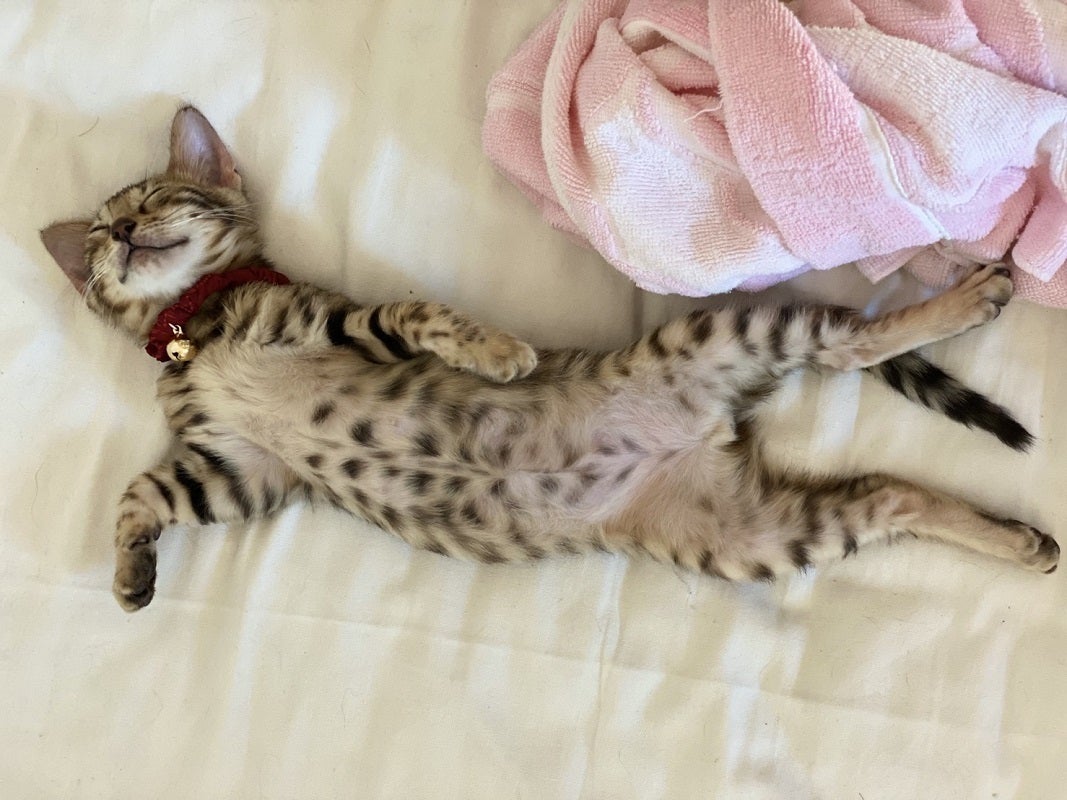 4番目のメイン画像