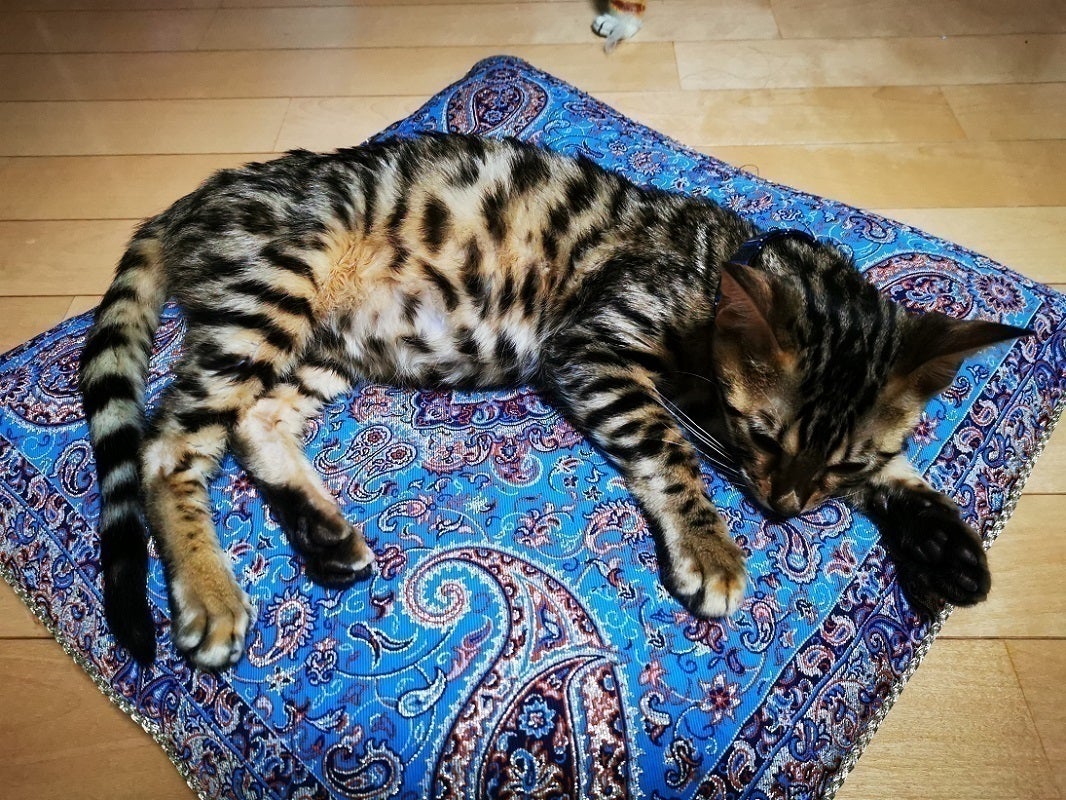 2番目のメイン画像