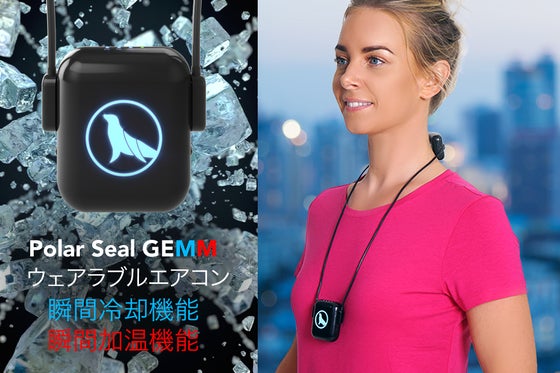 POLAR SEAL GEMM