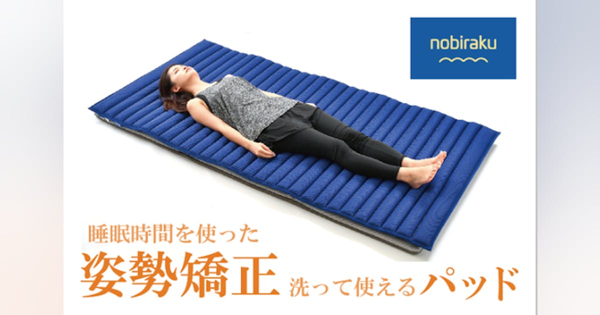 ヘルシーライン 日本医療研究株式会社 ヘルシーライン マットレス 健康マット