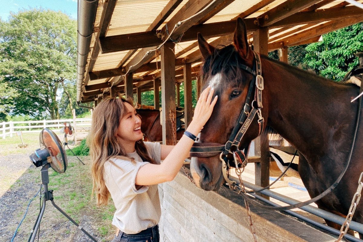 (キャンプファイヤー)　保護馬たちの輝けるセカンドライフと、殺処分のない未来を目指してへのコメント　CAMPFIRE