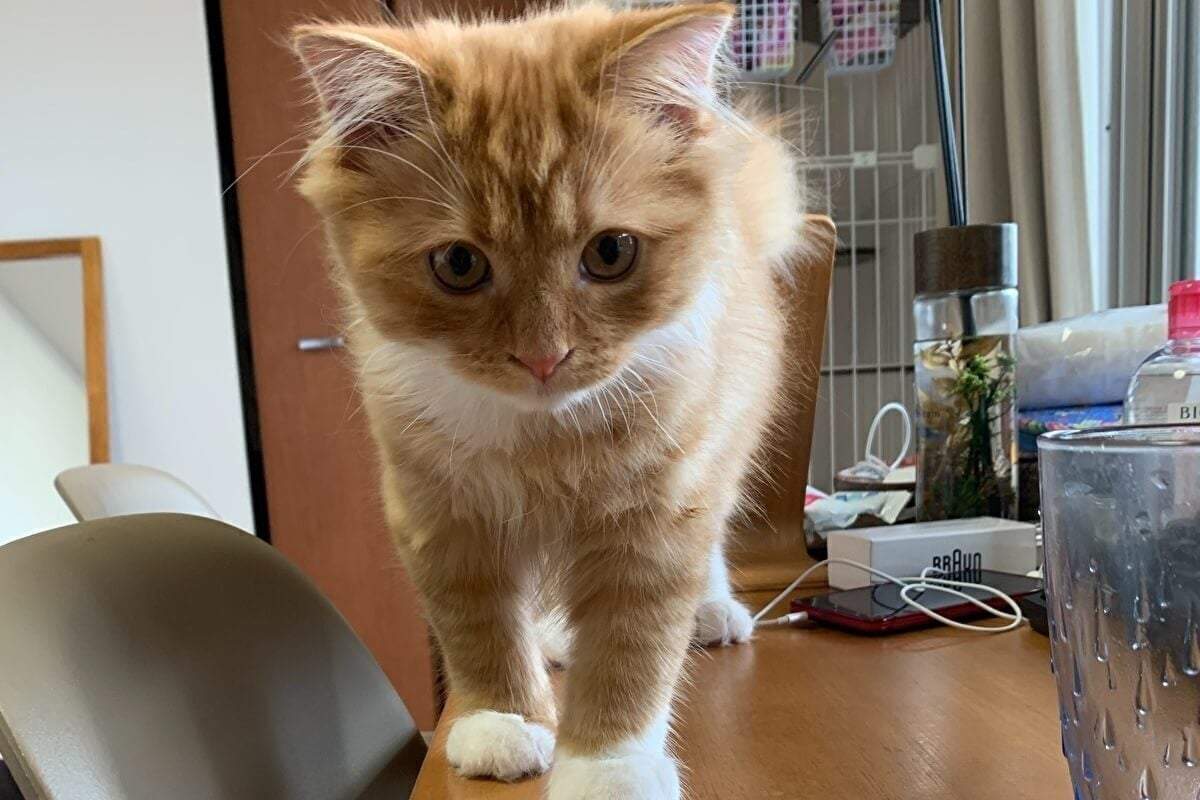 5番目のメイン画像