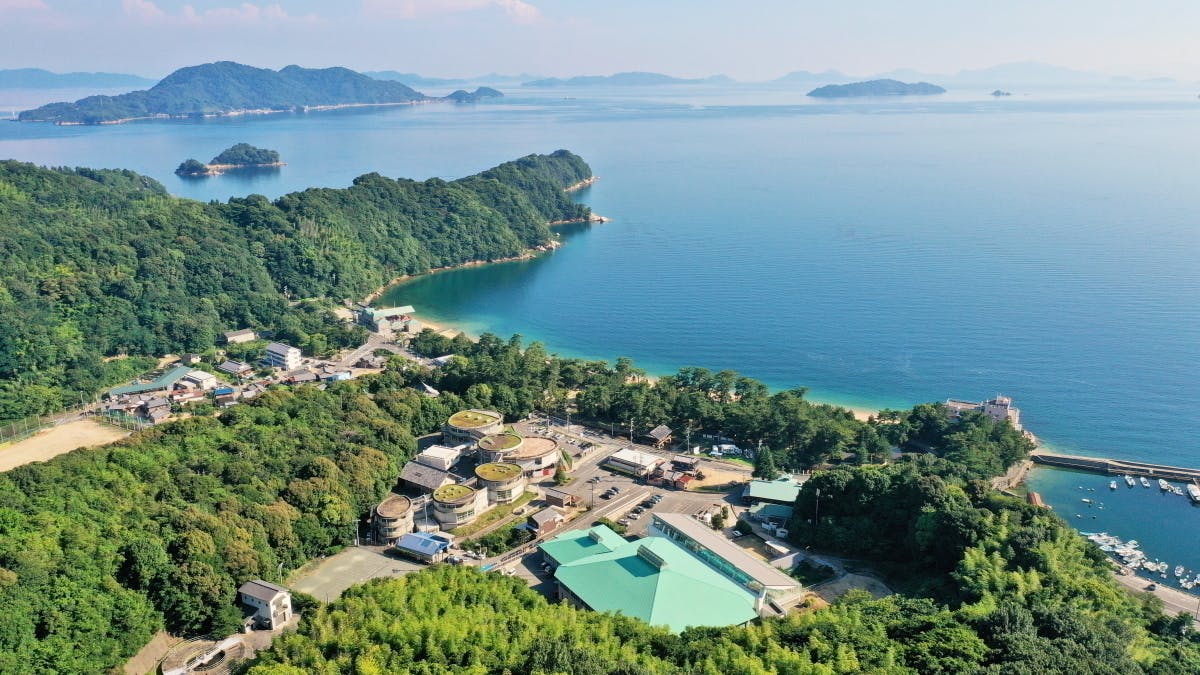 5番目のメイン画像