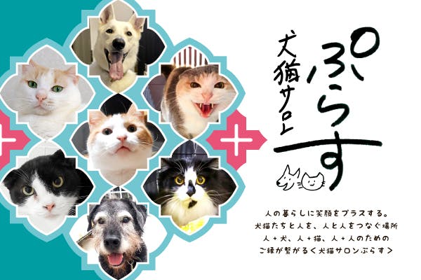 <犬猫サロンぷらす>