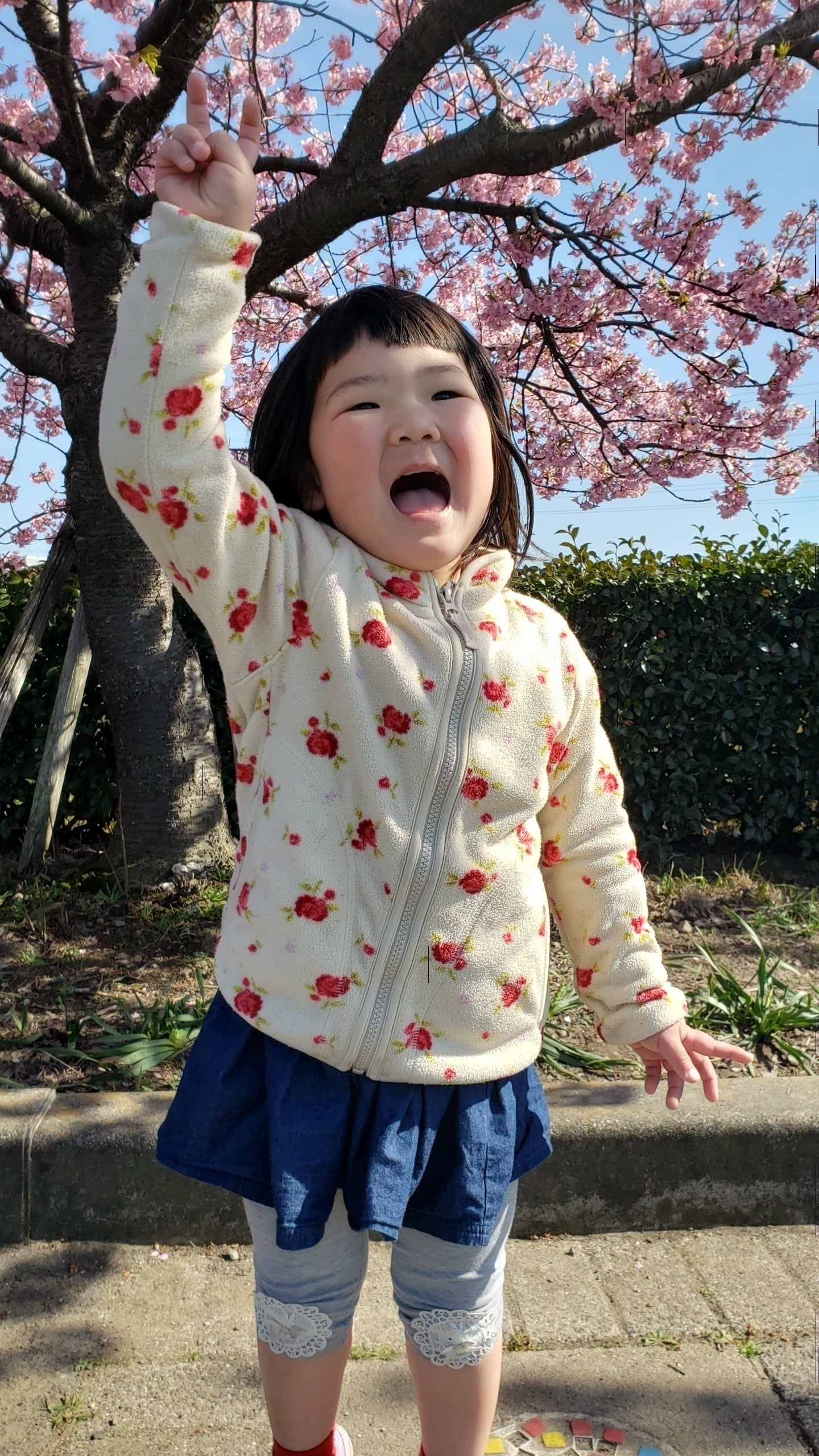 コロナに負けない!【香嘉園 西尾の抹茶 cafe】存続の為の支援のお願い