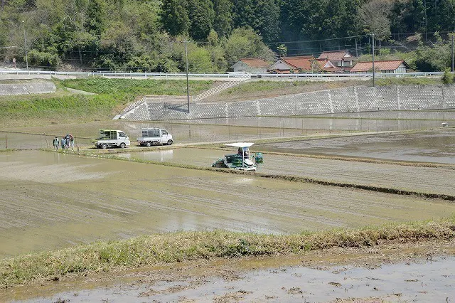 3番目のメイン画像