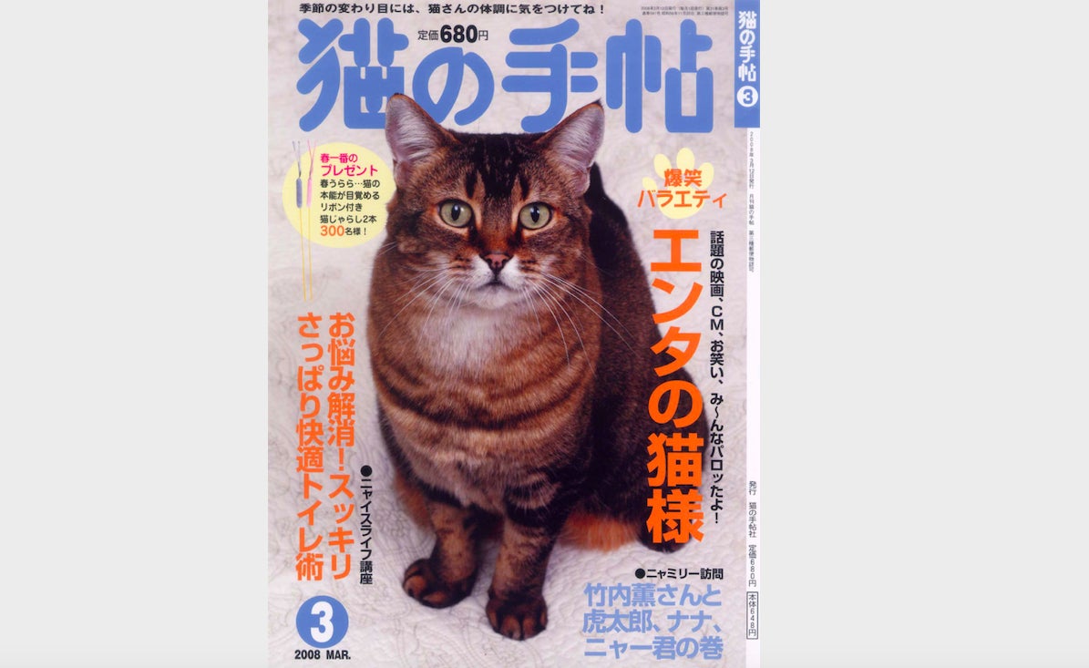 スマートフォンアプリを通して新しいカタチで 猫業界 を盛り上げたい Campfire キャンプファイヤー