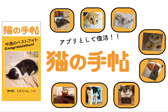 スマートフォンアプリを通して新しいカタチで 猫業界 を盛り上げたい Campfire キャンプファイヤー