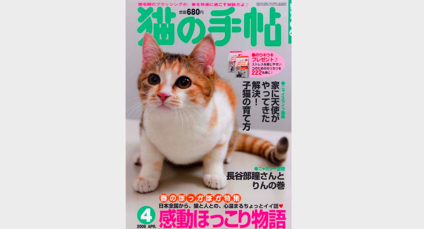 スマートフォンアプリを通して新しいカタチで 猫業界 を盛り上げたい Campfire キャンプファイヤー