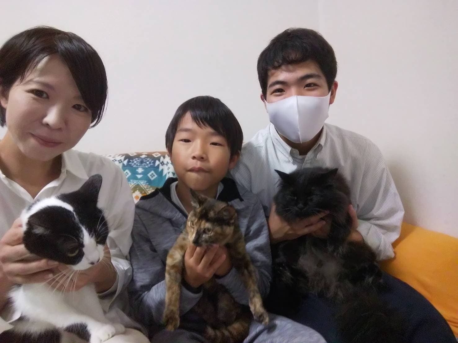 子供達の 助けてほしい から始まった挑戦 骨盤骨折の保護猫にご支援お願いします Campfire キャンプファイヤー 子供達の 助けてほしい から始まった挑戦 骨盤骨折の保護猫にご支援お願いします Campfire キャンプファイヤー