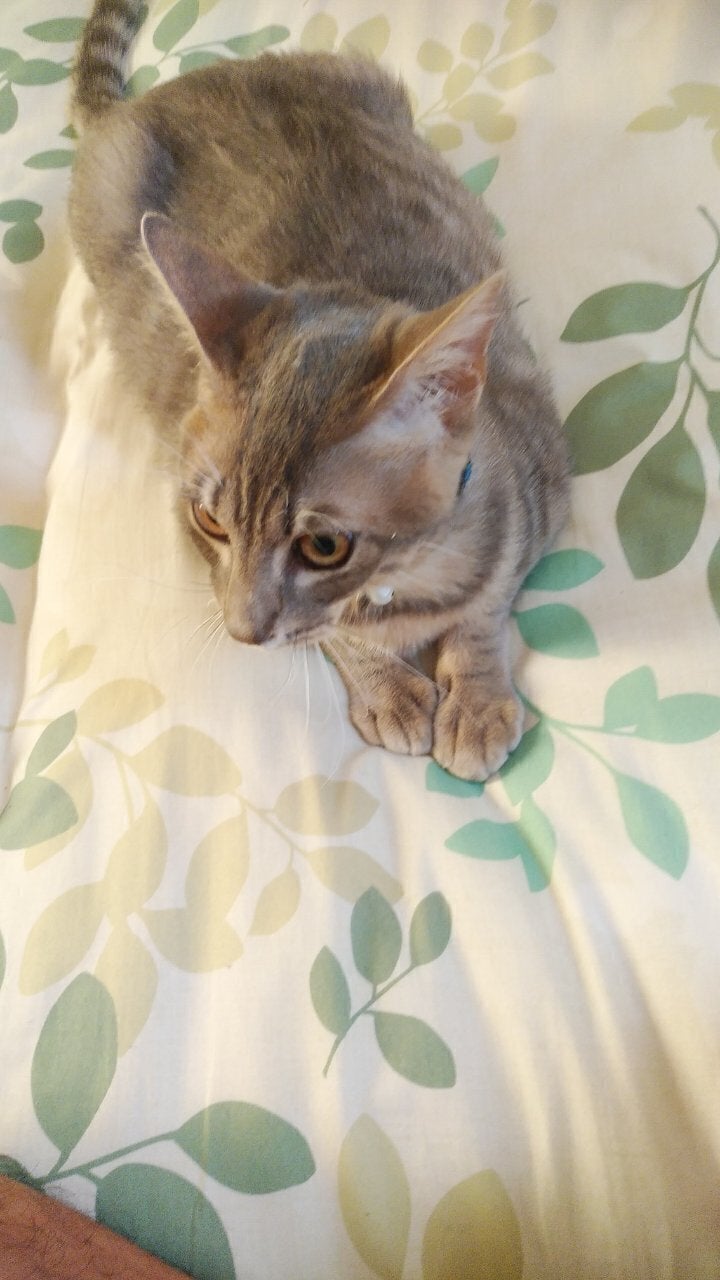 4番目のメイン画像