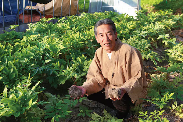 2番目のメイン画像