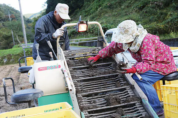 3番目のメイン画像