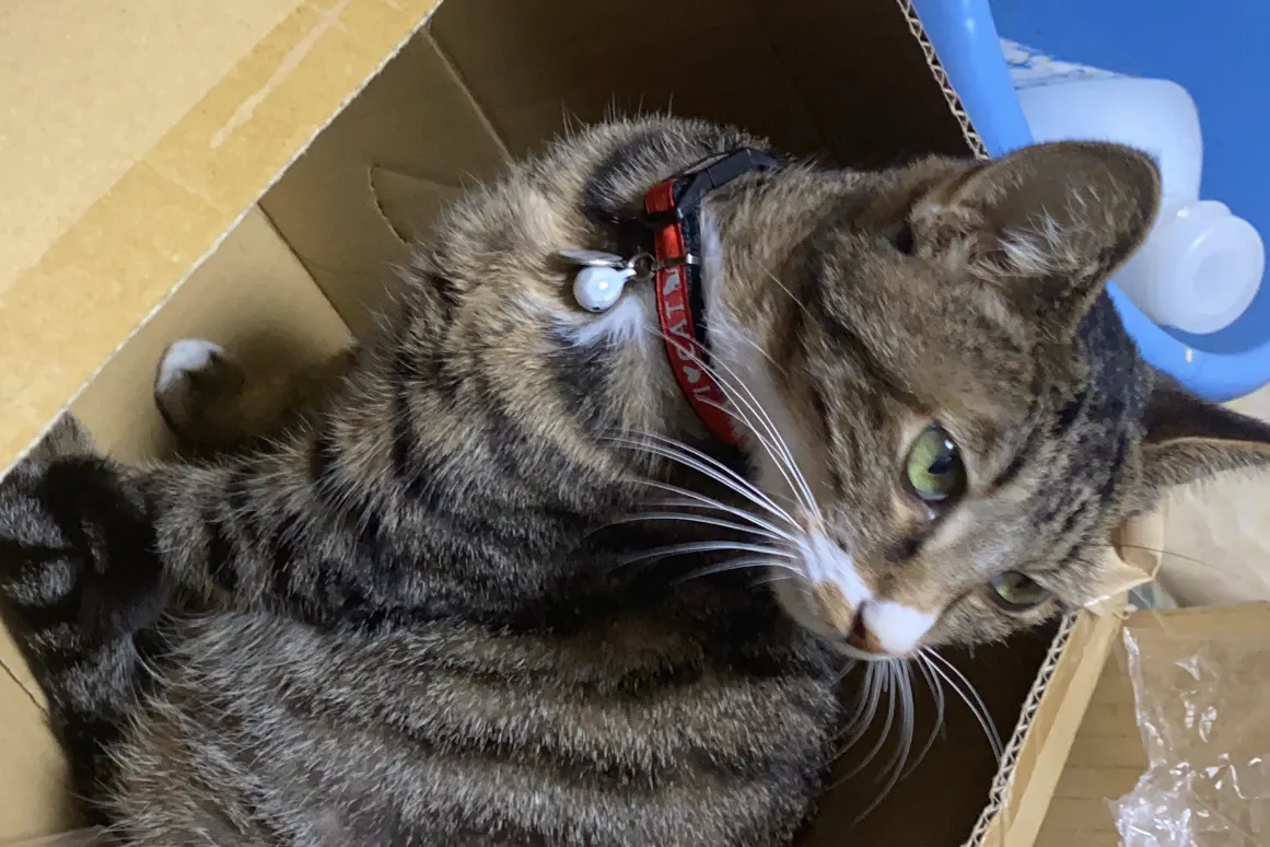 1番目のメイン画像