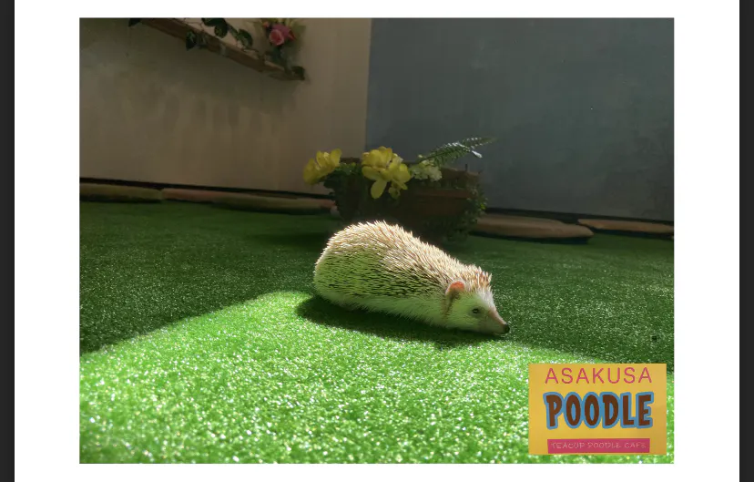 4番目のメイン画像