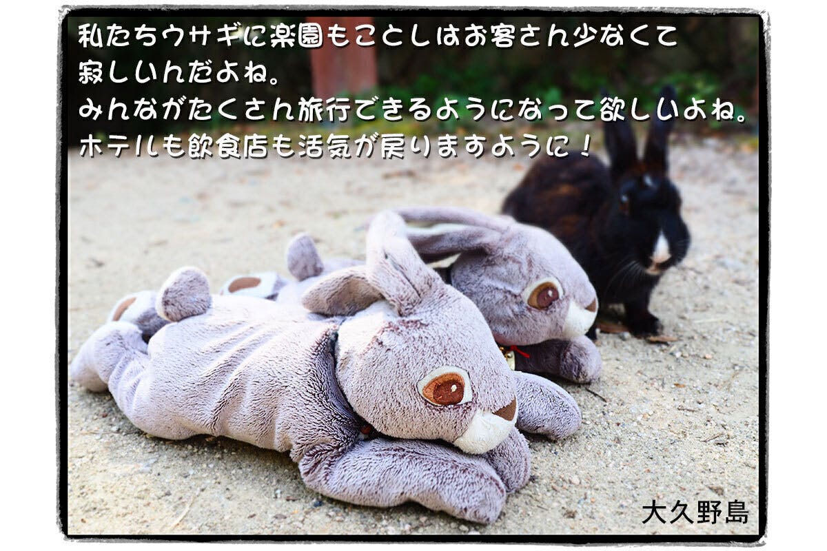 Marina Naoki の食文化探訪記 本の表紙デザイン決定 Campfire キャンプファイヤー Marina Naoki の食文化探訪記 本の表紙デザイン決定 Campfire キャンプファイヤー
