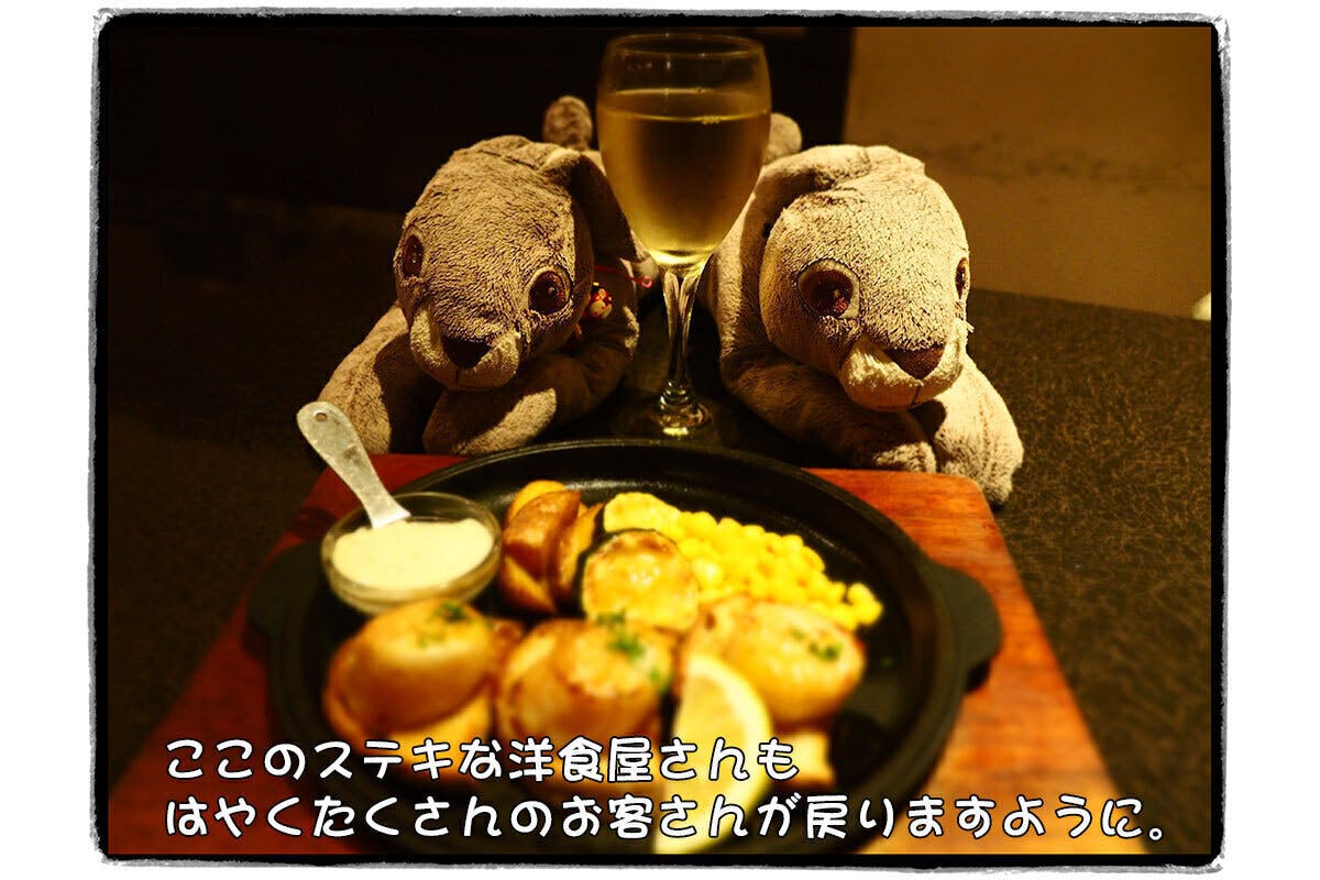 Marina Naoki の食文化探訪記 本の表紙デザイン決定 Campfire キャンプファイヤー Marina Naoki の食文化探訪記 本の表紙デザイン決定 Campfire キャンプファイヤー