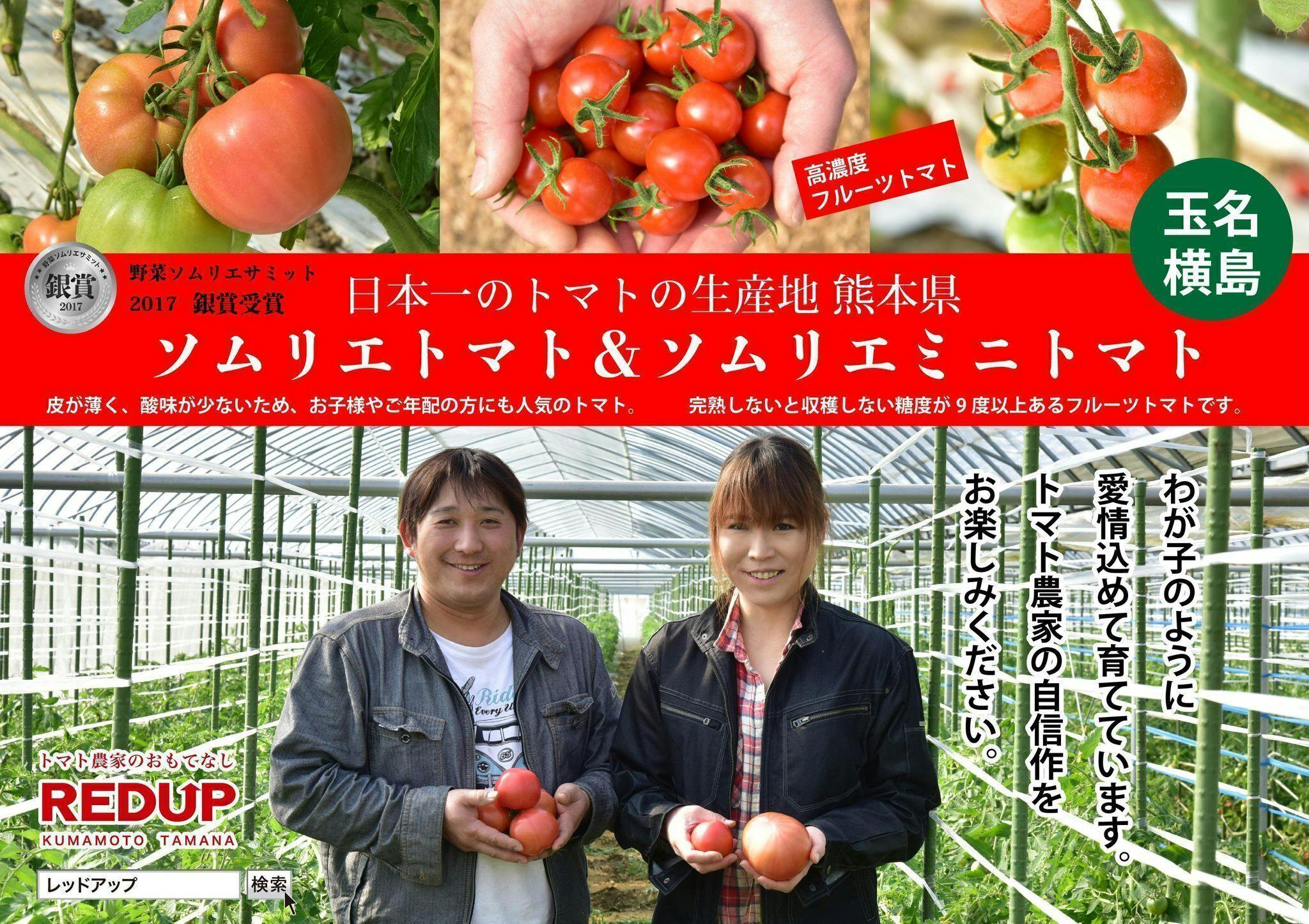 連絡など 熊本県ミニトマト農家 - 食品