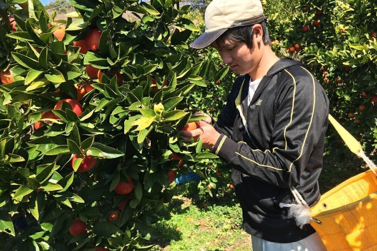 4番目のメイン画像