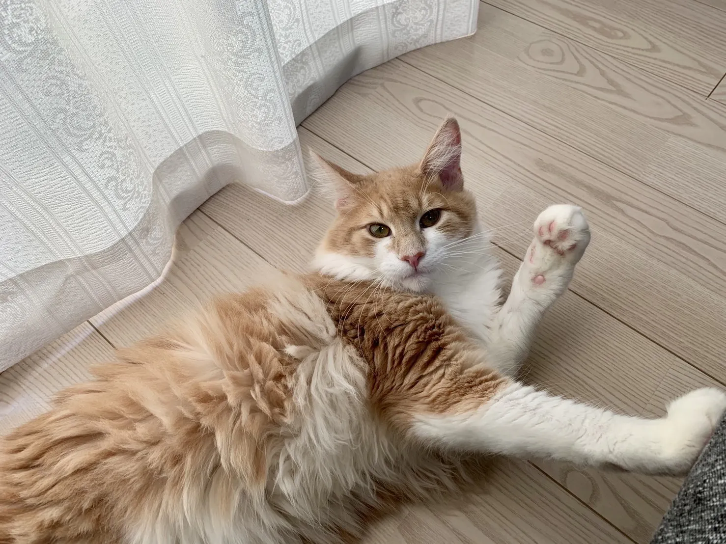 3番目のメイン画像