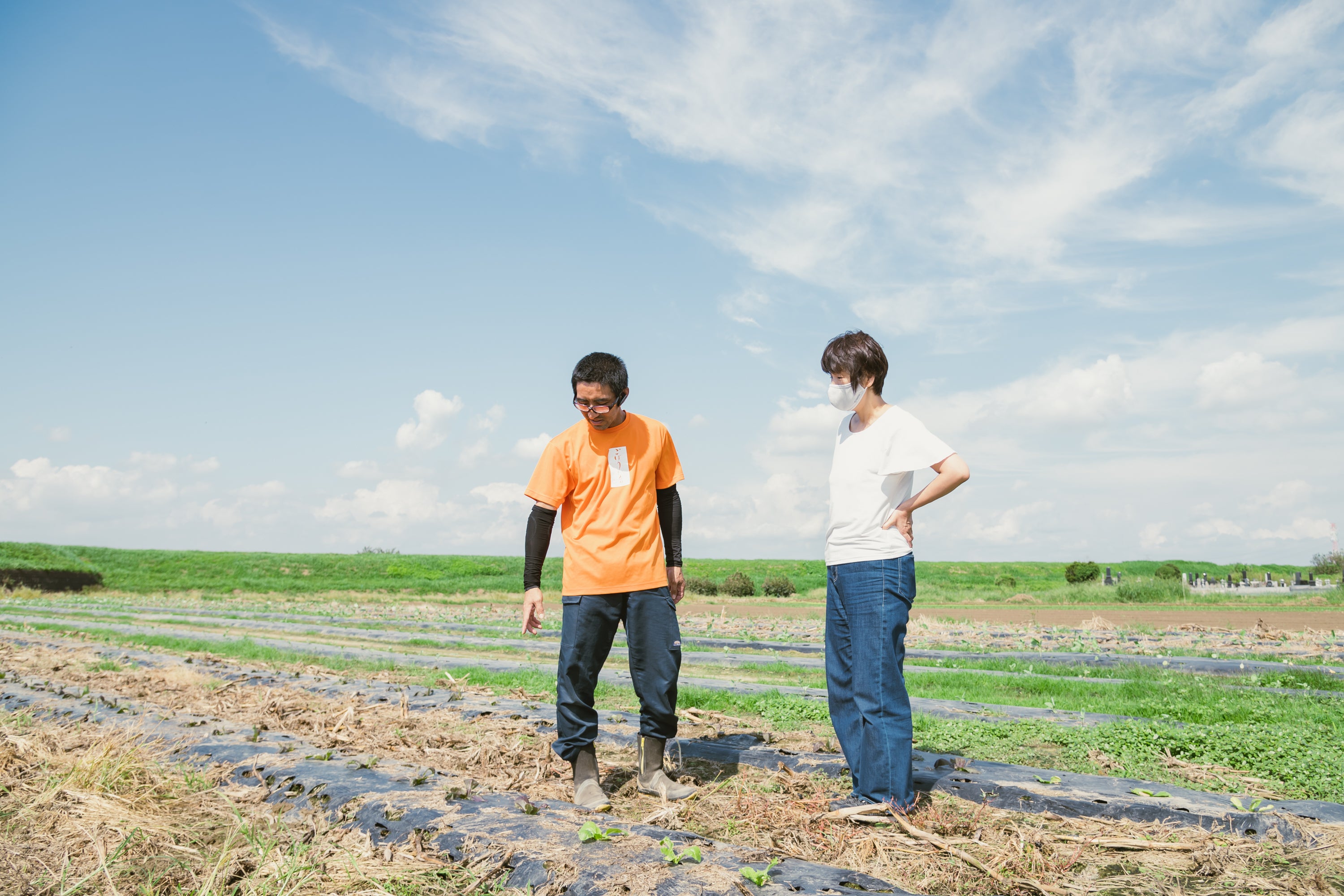 3番目のメイン画像