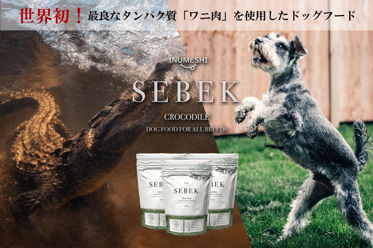 Sebek 世界初 最良なタンパク質 ワニ肉 を使用したドッグフード Campfire キャンプファイヤー
