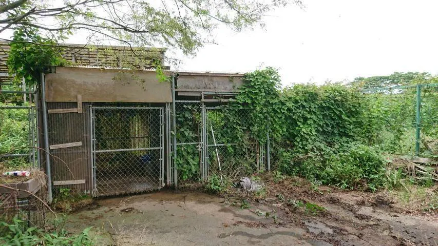 3番目のメイン画像