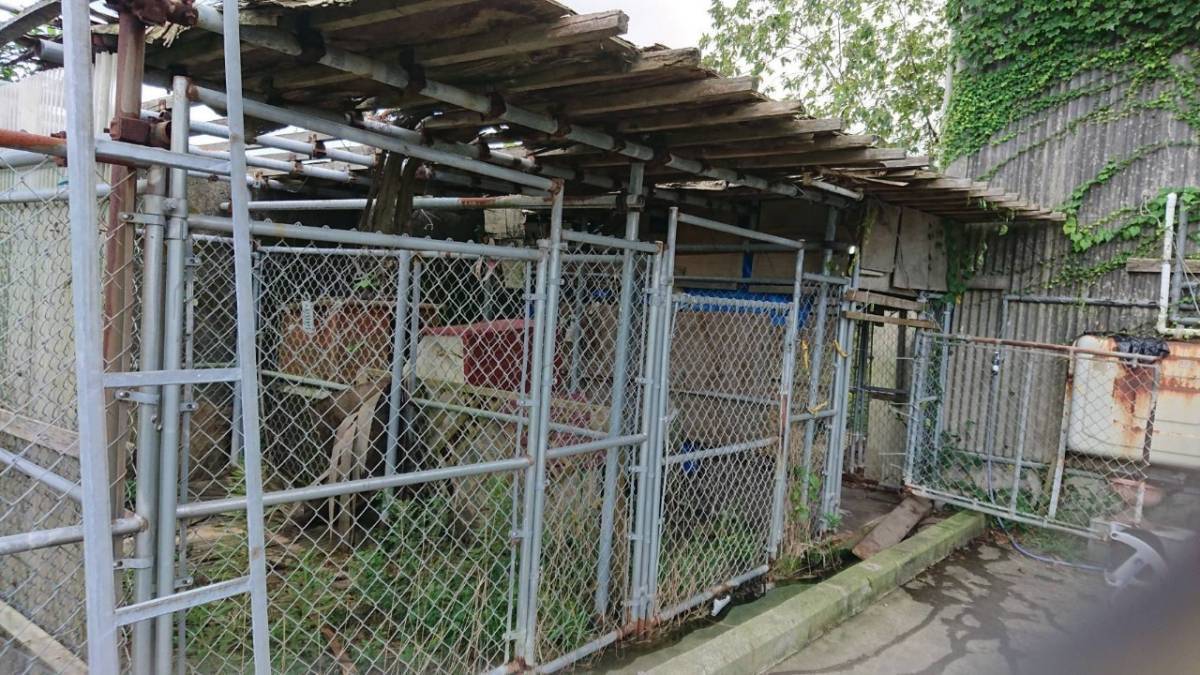 4番目のメイン画像