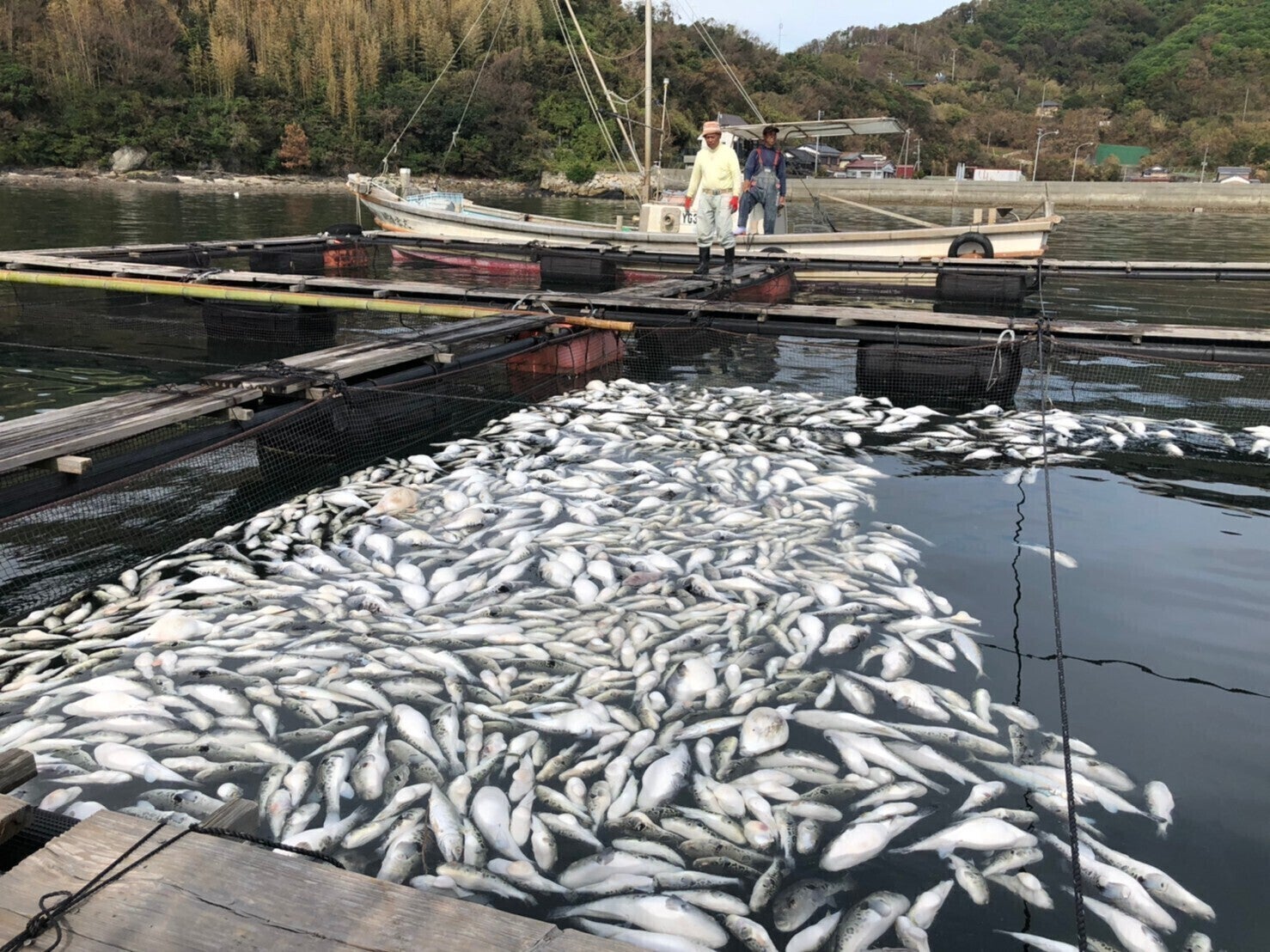 2番目のメイン画像