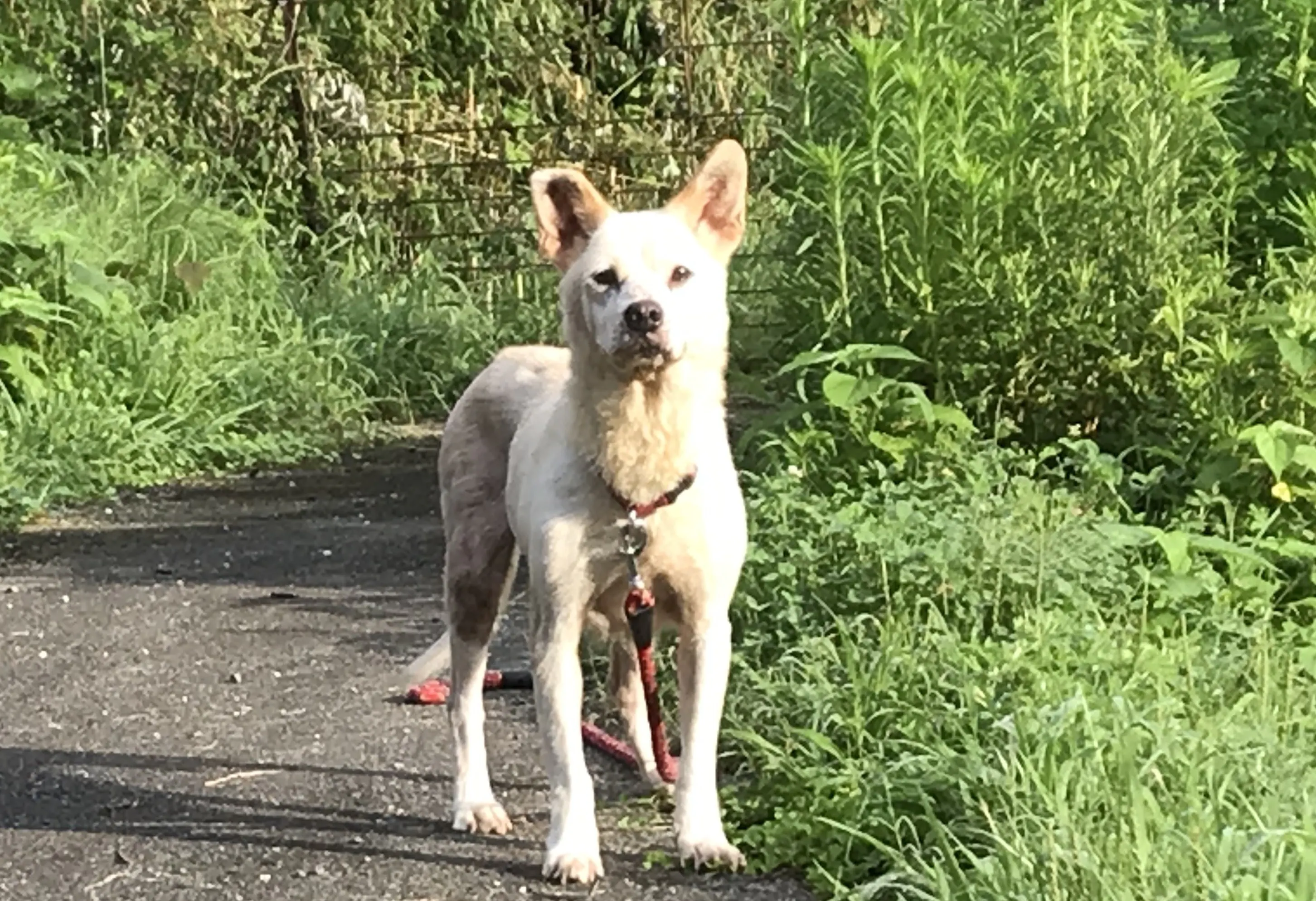 4番目のメイン画像