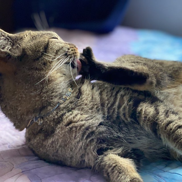 3番目のメイン画像