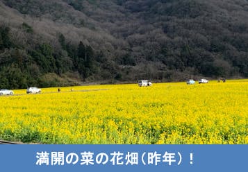 今だからこそ感動を 1000万本の雄大な菜の花畑でコロナ退散の祈願祭を行いたい Campfire キャンプファイヤー 今だからこそ感動を 1000万本の雄大な菜の花畑でコロナ退散の祈願祭を行いたい Campfire キャンプファイヤー