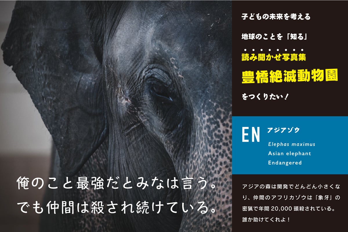 豊橋発 子どもたちの未来を考える読み聞かせ写真集 豊橋絶滅動物園 を作りたい Campfire キャンプファイヤー 豊橋発 子どもたちの未来を考える読み聞かせ写真集 豊橋絶滅動物園 を作りたい Campfire キャンプファイヤー