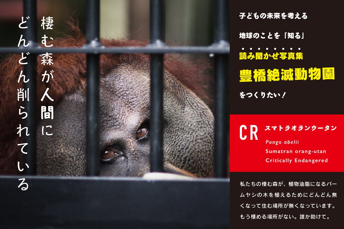 豊橋発 子どもたちの未来を考える読み聞かせ写真集 豊橋絶滅動物園 を作りたい Campfire キャンプファイヤー 豊橋発 子どもたちの未来を考える読み聞かせ写真集 豊橋絶滅動物園 を作りたい Campfire キャンプファイヤー