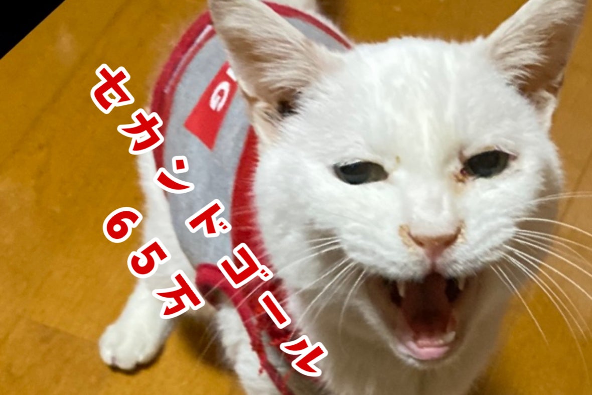 1番目のメイン画像