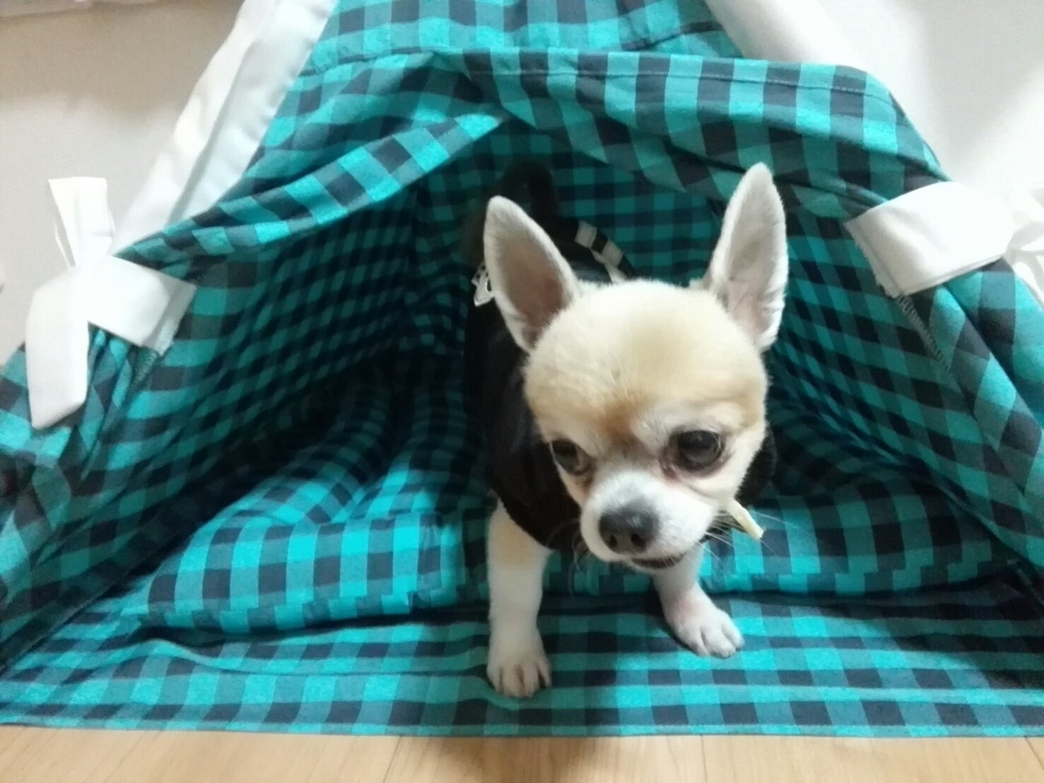 2番目のメイン画像