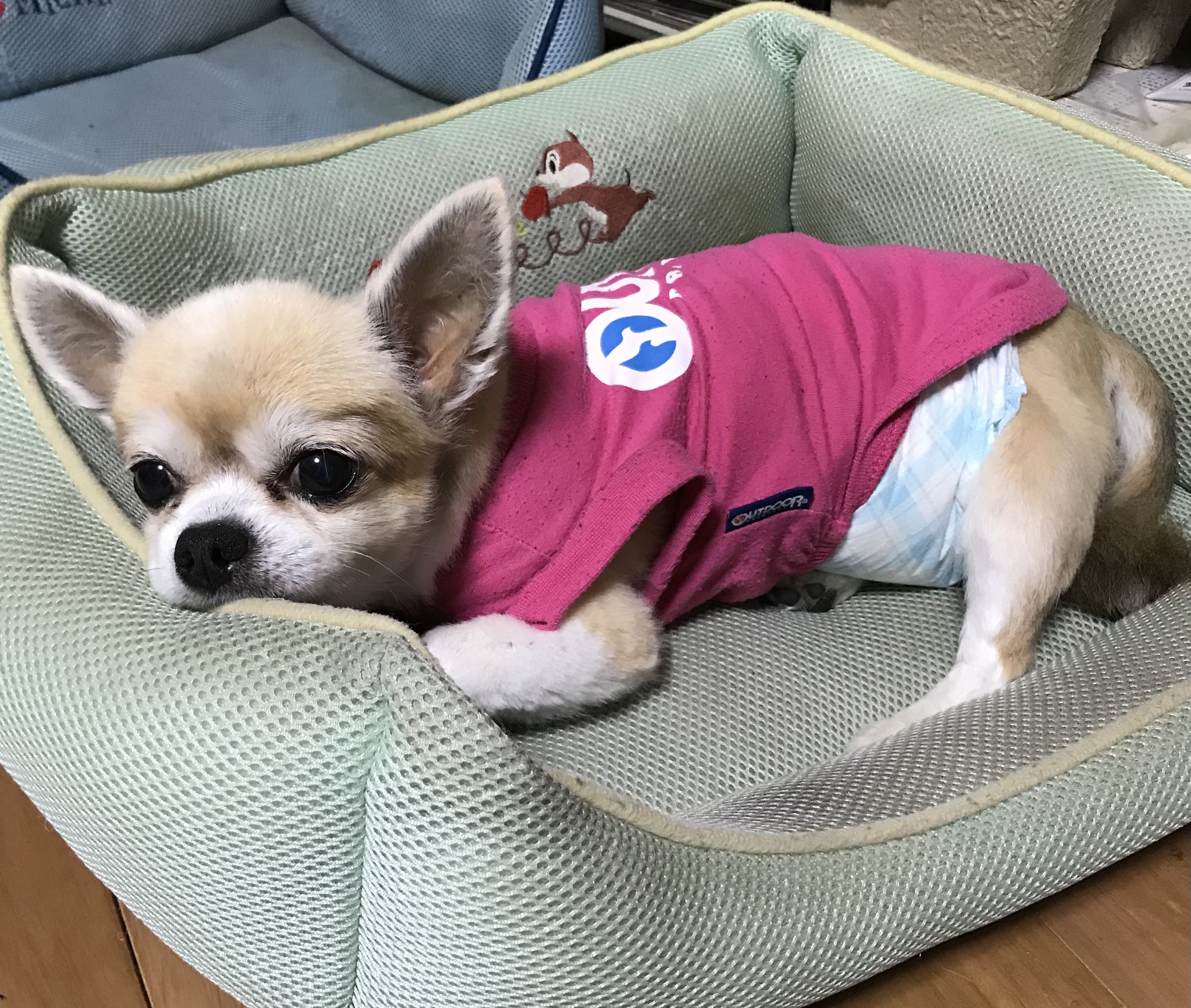 3番目のメイン画像