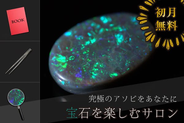 究極のアソビをあなたに。 -宝石を楽しむサロン-